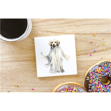 Ceramic Tile Coaster/ Trivet - la 26