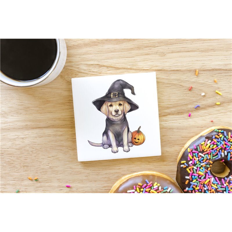 Ceramic Tile Coaster/ Trivet - la 27