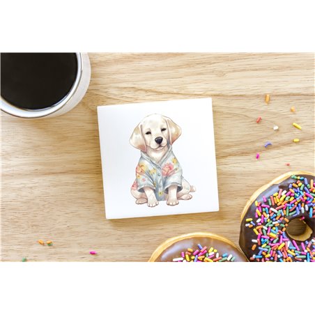 Ceramic Tile Coaster/ Trivet - la 28