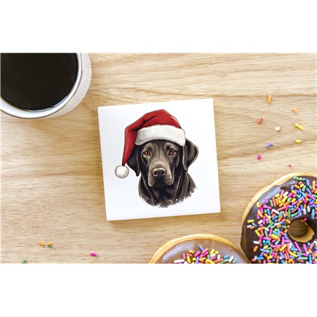 Ceramic Tile Coaster/ Trivet - la 31