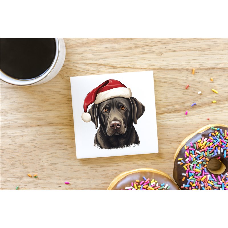 Ceramic Tile Coaster/ Trivet - la 32