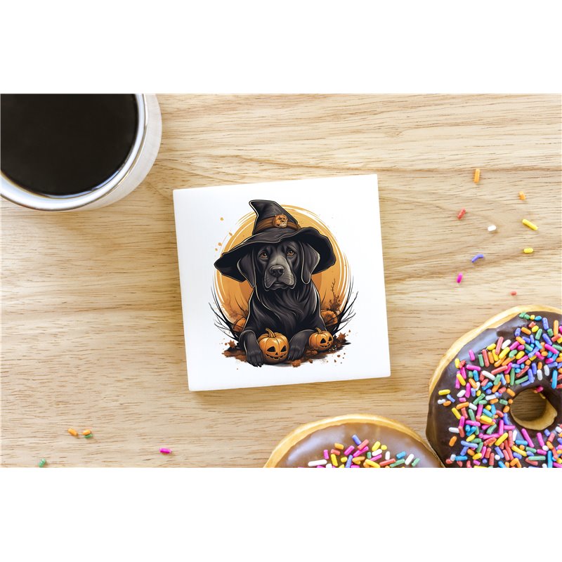 Ceramic Tile Coaster/ Trivet - la 35