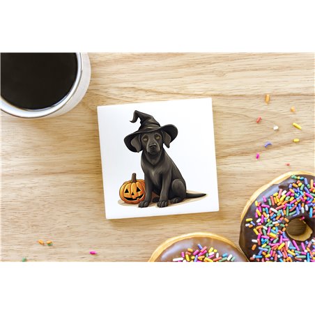 Ceramic Tile Coaster/ Trivet - la 37