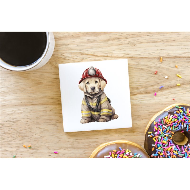 Ceramic Tile Coaster/ Trivet - la 43