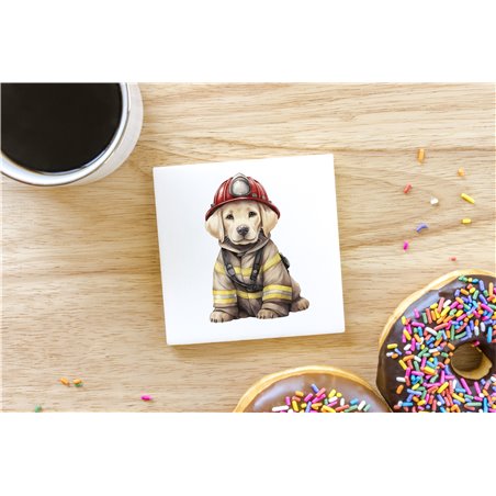 Ceramic Tile Coaster/ Trivet - la 43