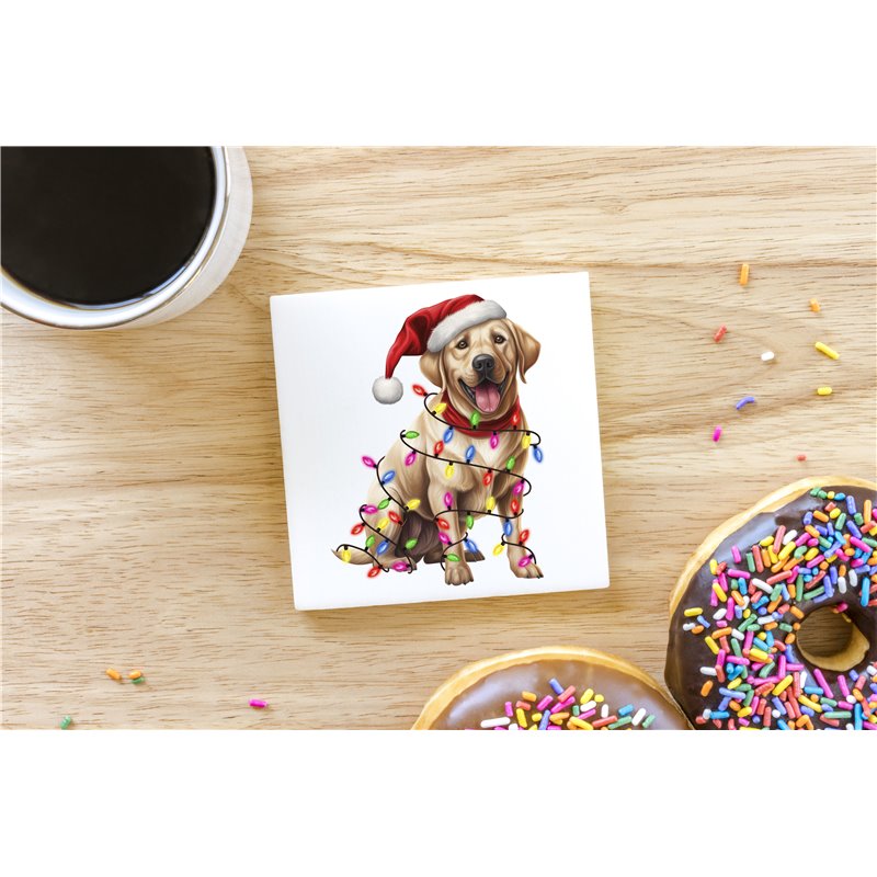 Ceramic Tile Coaster/ Trivet - la 45