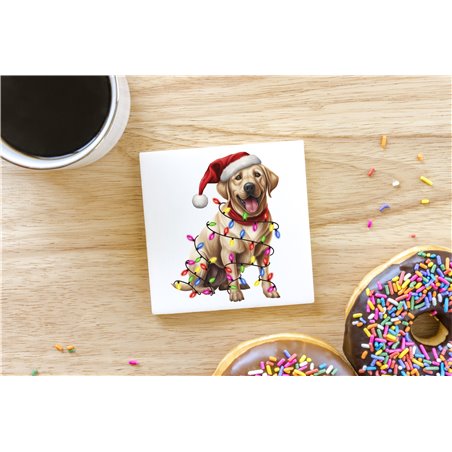 Ceramic Tile Coaster/ Trivet - la 45