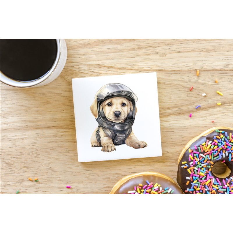 Ceramic Tile Coaster/ Trivet - la 46