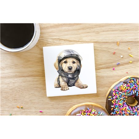 Ceramic Tile Coaster/ Trivet - la 46