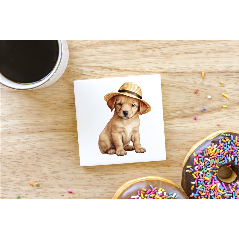 Ceramic Tile Coaster/ Trivet - la 49