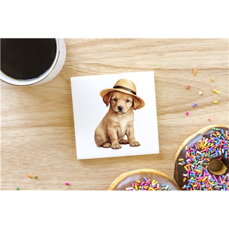 Ceramic Tile Coaster/ Trivet - la 49