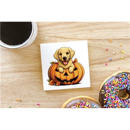 Ceramic Tile Coaster/ Trivet - la 52