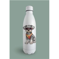 Insulated Bottle  - ms 2