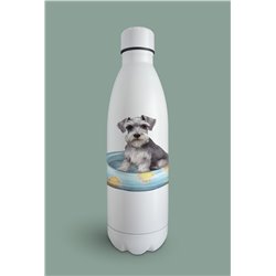Insulated Bottle  - ms 3