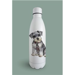 Insulated Bottle  - ms 4