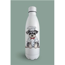 Insulated Bottle  - ms 5