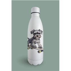Insulated Bottle  - ms 6