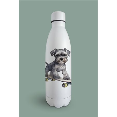 Insulated Bottle  - ms 6