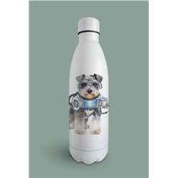 Insulated Bottle  - ms 7