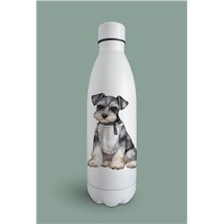 Insulated Bottle  - ms 10