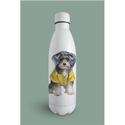 Insulated Bottle  - ms 12