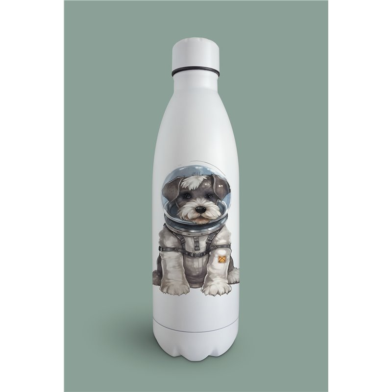 Insulated Bottle  - ms 14