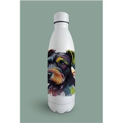 Insulated Bottle  - ms 20