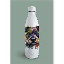 Insulated Bottle  - ms 21