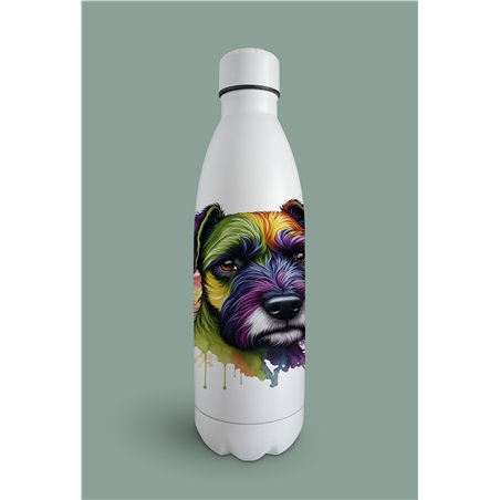 Insulated Bottle  - ms 22
