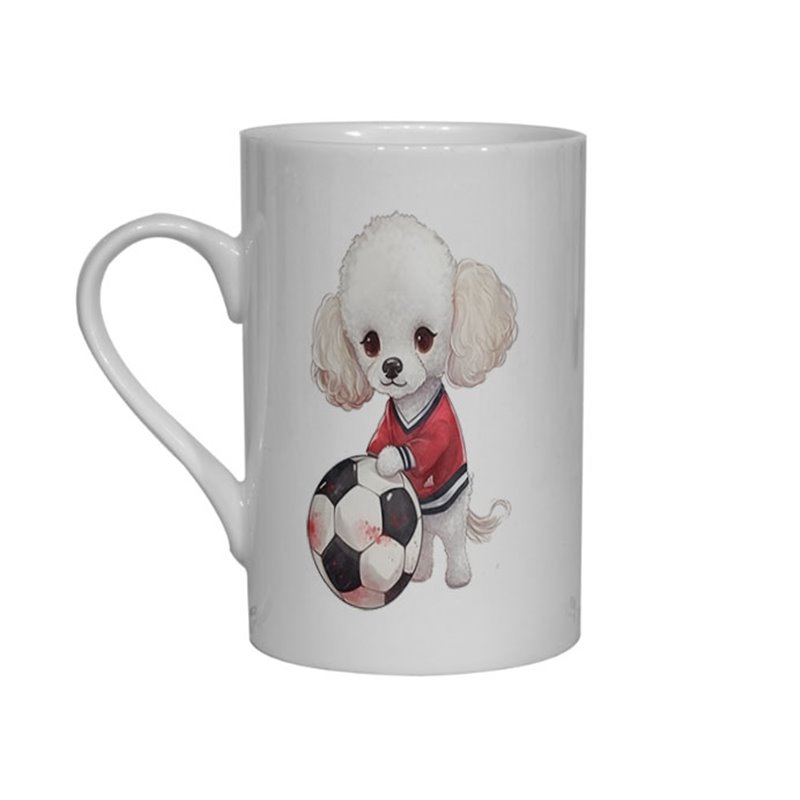 Bone China Mug - po 30