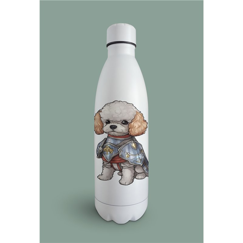 Insulated Bottle  - po 3