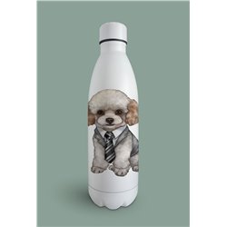 Insulated Bottle  - po 8