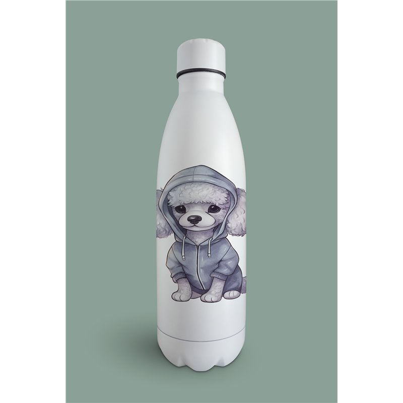 Insulated Bottle  - po 9
