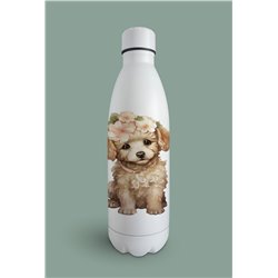 Insulated Bottle  - po 10