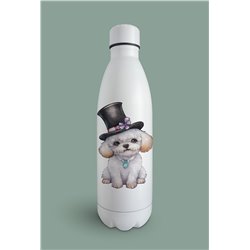 Insulated Bottle  - po 11