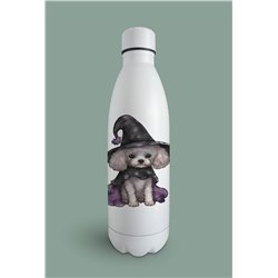 Insulated Bottle  - po 12