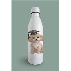 Insulated Bottle  - po 13