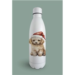 Insulated Bottle  - po 16