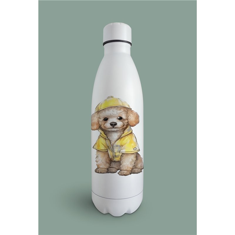 Insulated Bottle  - po 21