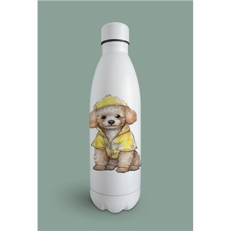 Insulated Bottle  - po 21