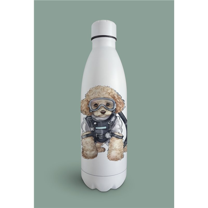 Insulated Bottle  - po 24