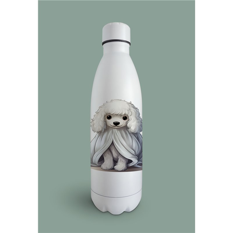 Insulated Bottle  - po 26