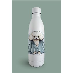 Insulated Bottle  - po 27