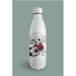 Insulated Bottle  - po 30