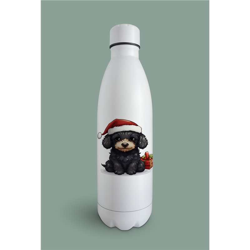 Insulated Bottle  - po 33