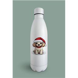 Insulated Bottle  - po 34