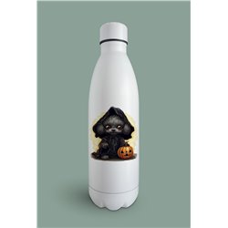 Insulated Bottle  - po 35