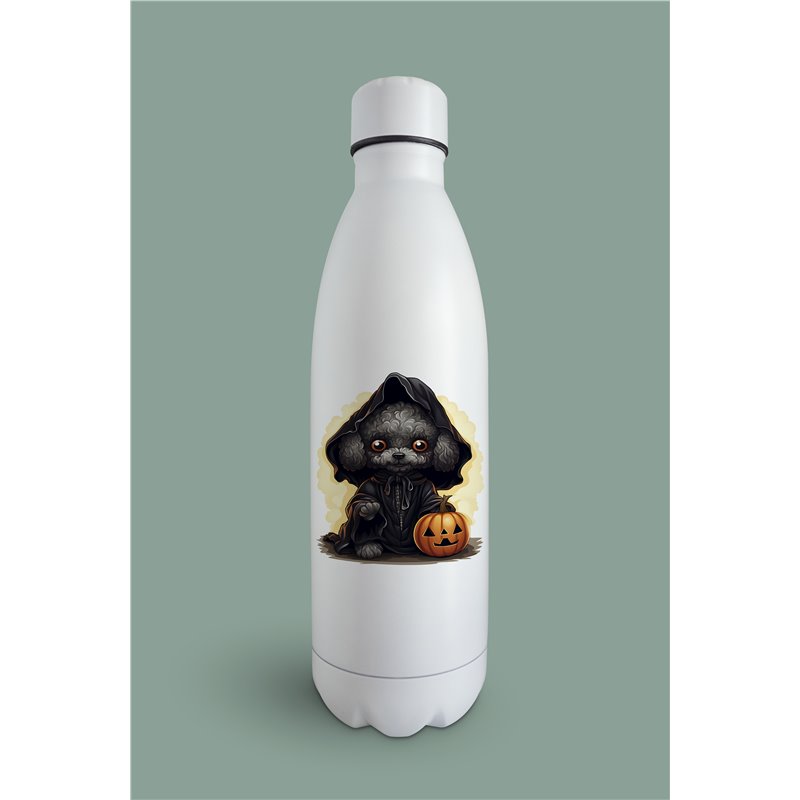Insulated Bottle  - po 35