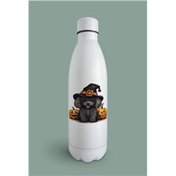 Insulated Bottle  - po 36