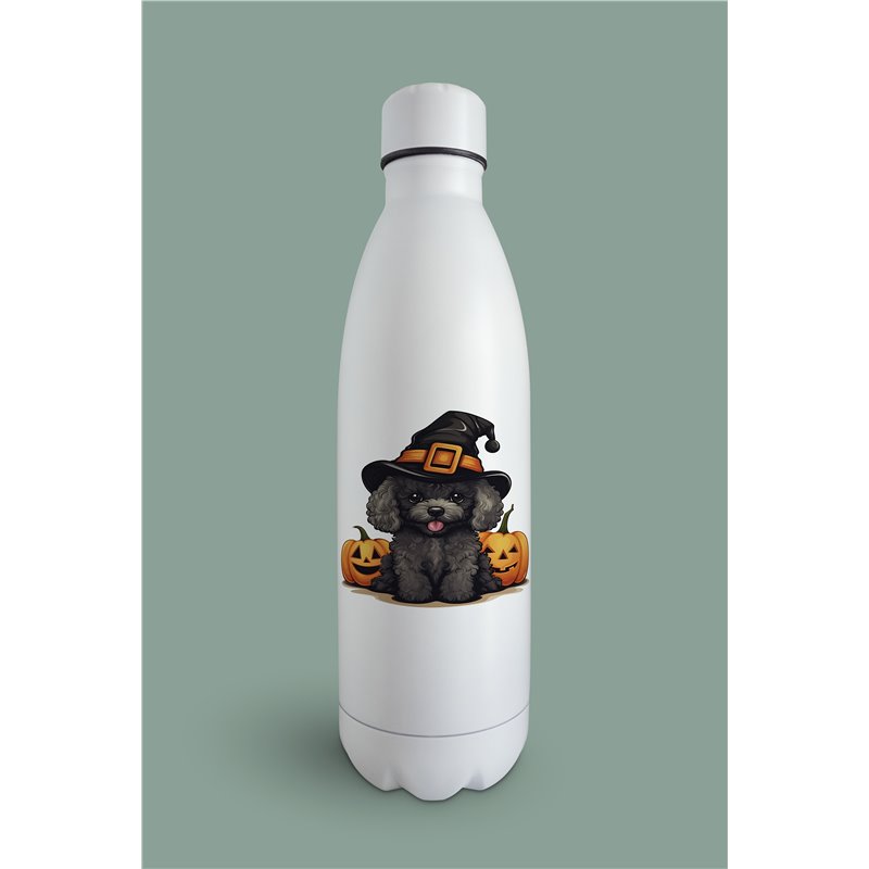 Insulated Bottle  - po 36